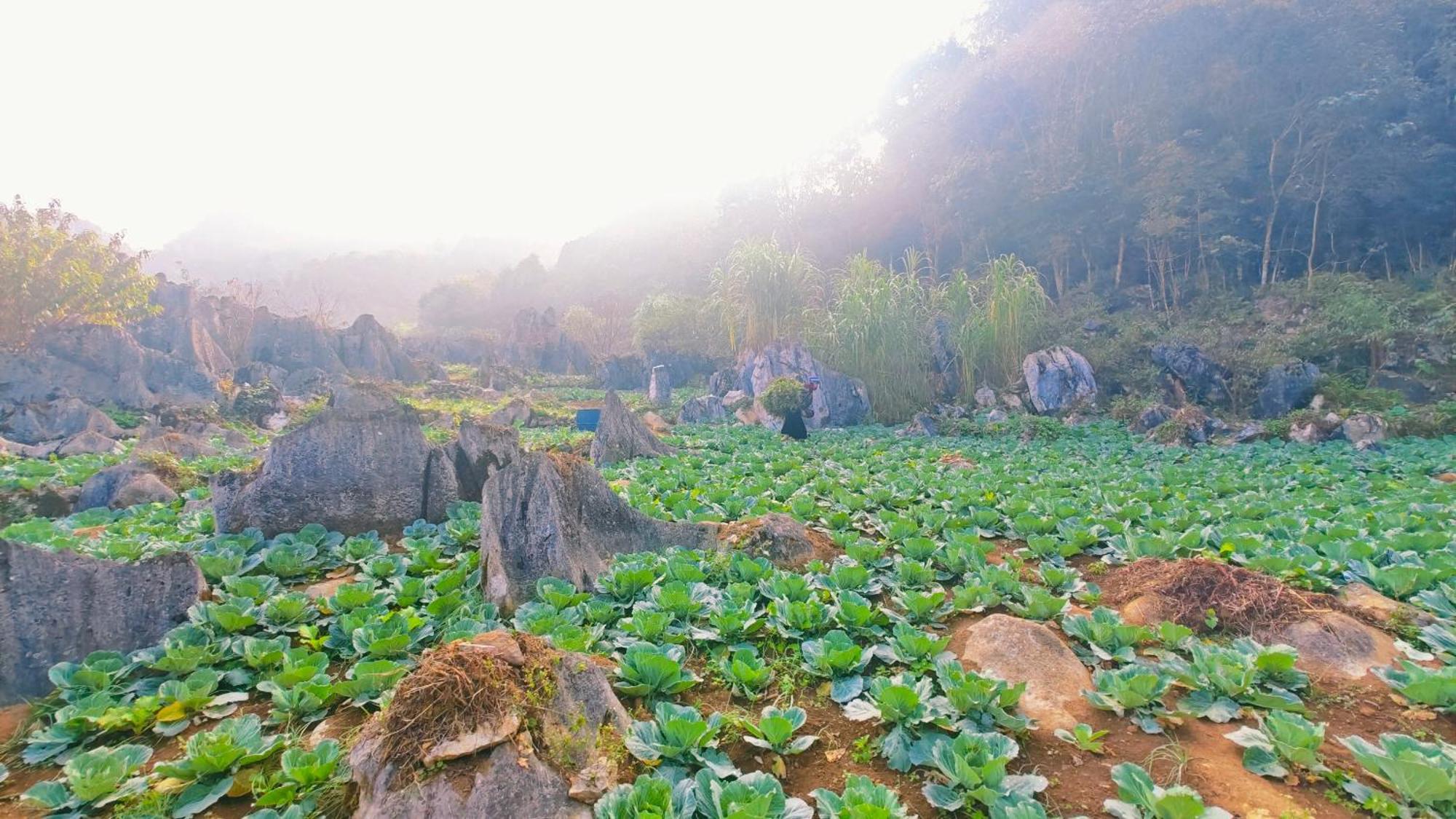 Nha Co Lao Xa Homestay Hmong & Bungalow Air Conditioner Dong Van  Luaran gambar